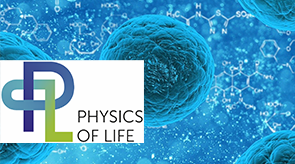 Vorschau für das Forschungsprojekt: Cluster of Excellence Physik des Lebens (PoL)  – Die dynamische Organisation lebender Materie