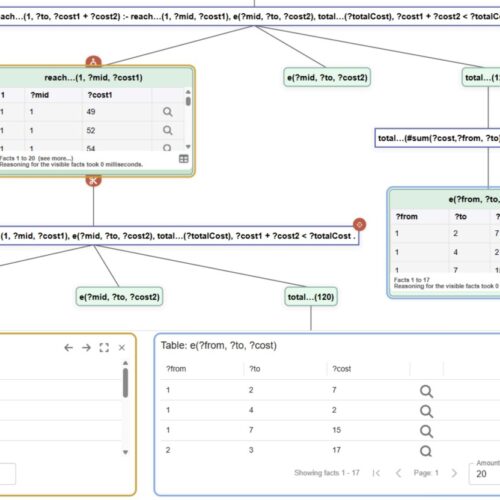 nev: A Visual Query Tracer and Builder for Declarative Logic Programming on Nemo
