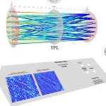 Immersive 3D Visualization of Multi-Modal Brain Connectivity